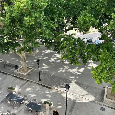 Sous Les Platanes *